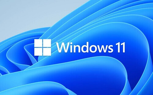 How To Turn Off The Animated Effects On Windows 11